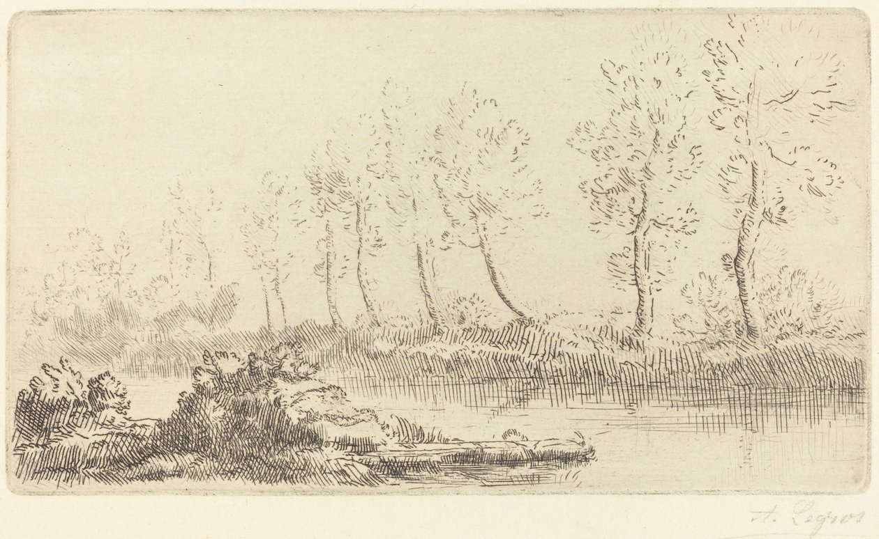 Bancos do Adour (Bord de l