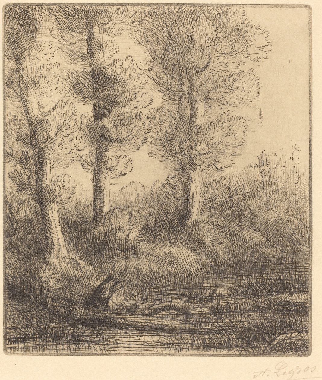 Margens do Saint-Pre (Rive du Saint-Pre) de Alphonse Legros
