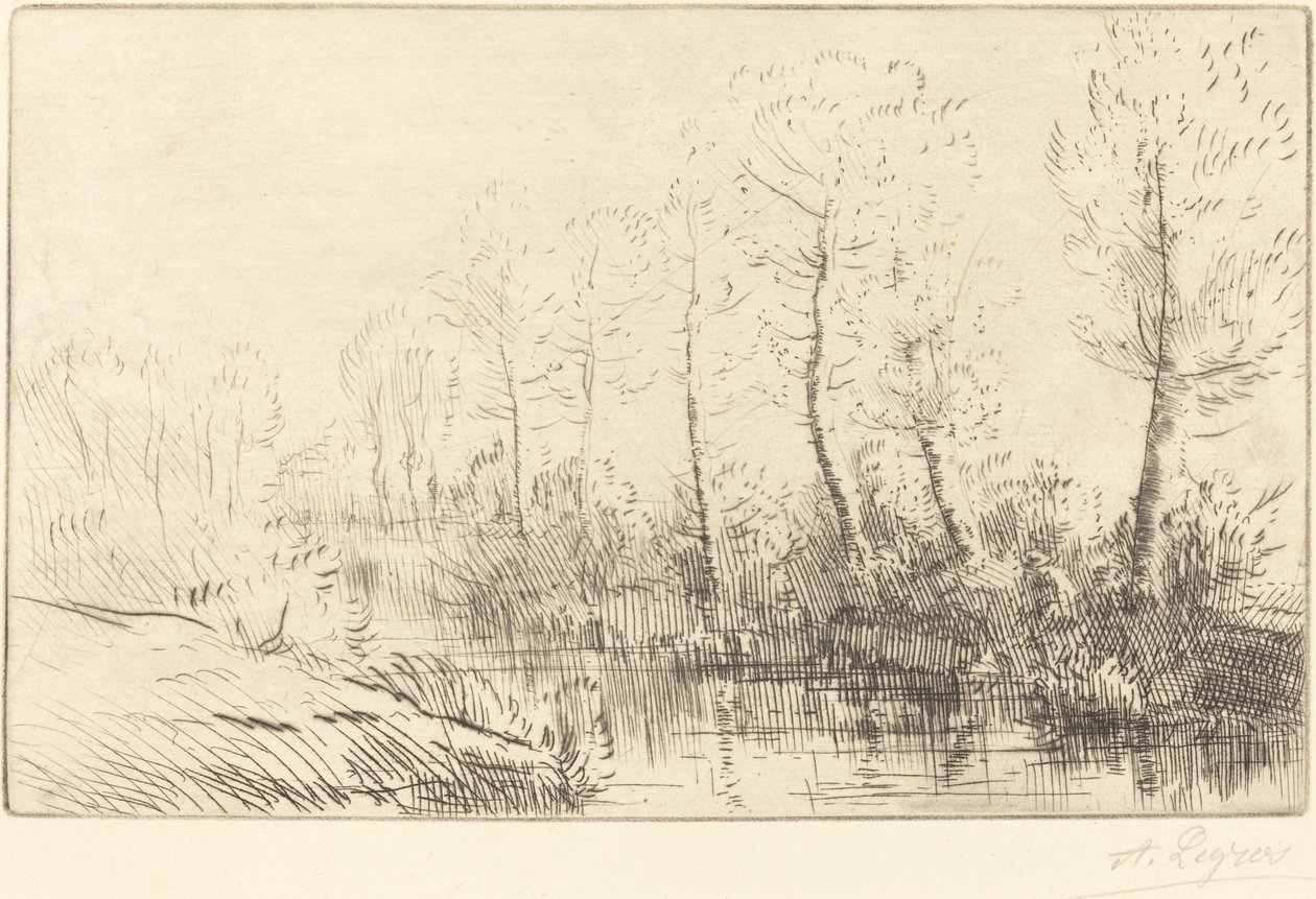 Bétulas: beira da água vista na luz da manhã de Alphonse Legros