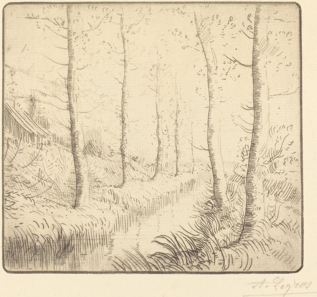 Bétulas ao longo da água de Alphonse Legros