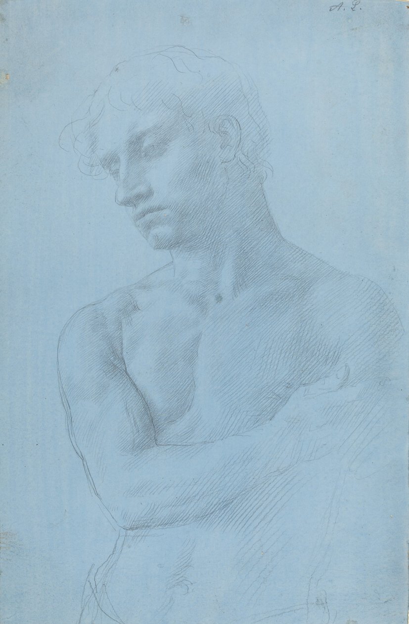 Busto do Homem Nu. de Alphonse Legros