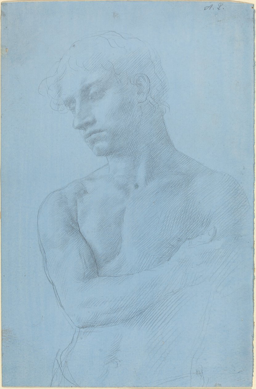 busto do homem nu de Alphonse Legros