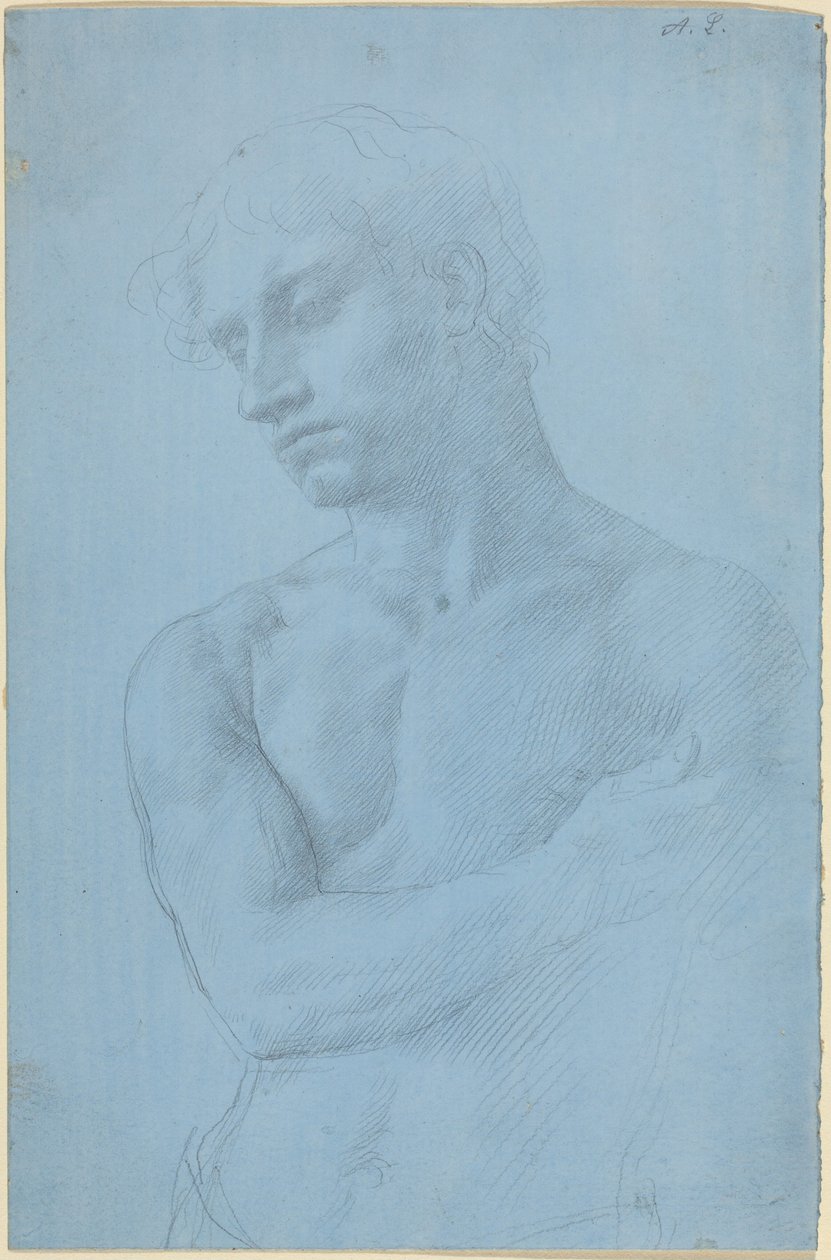 Busto de um homem nu de Alphonse Legros