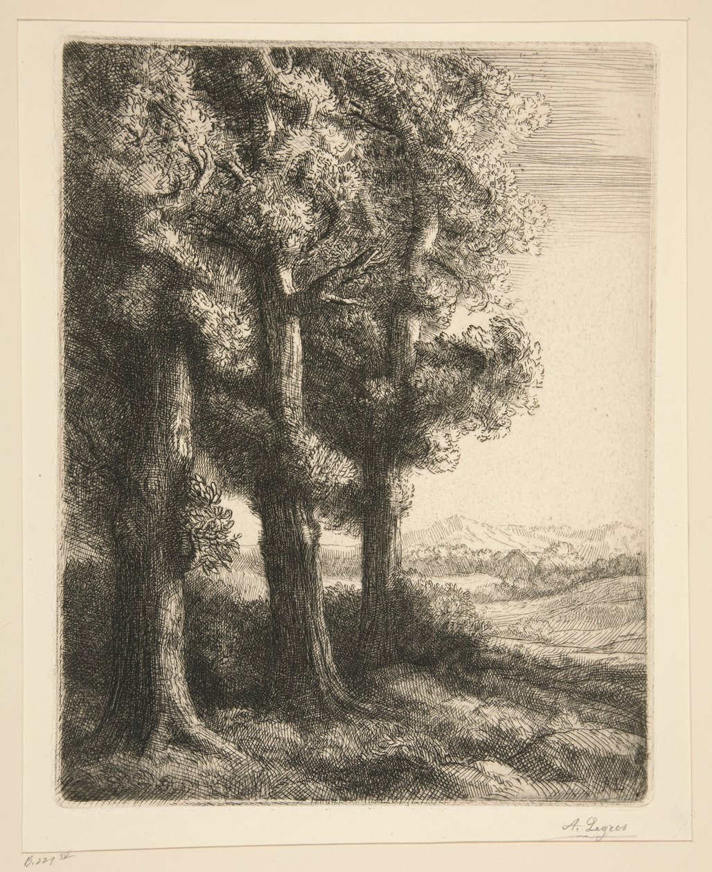 Um recanto de um bosque de Alphonse Legros