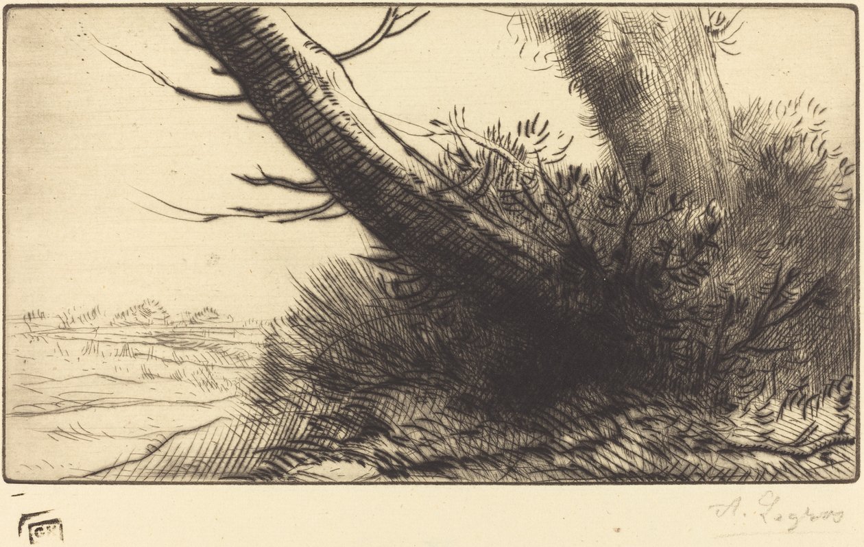 Canto de um caminho de Alphonse Legros