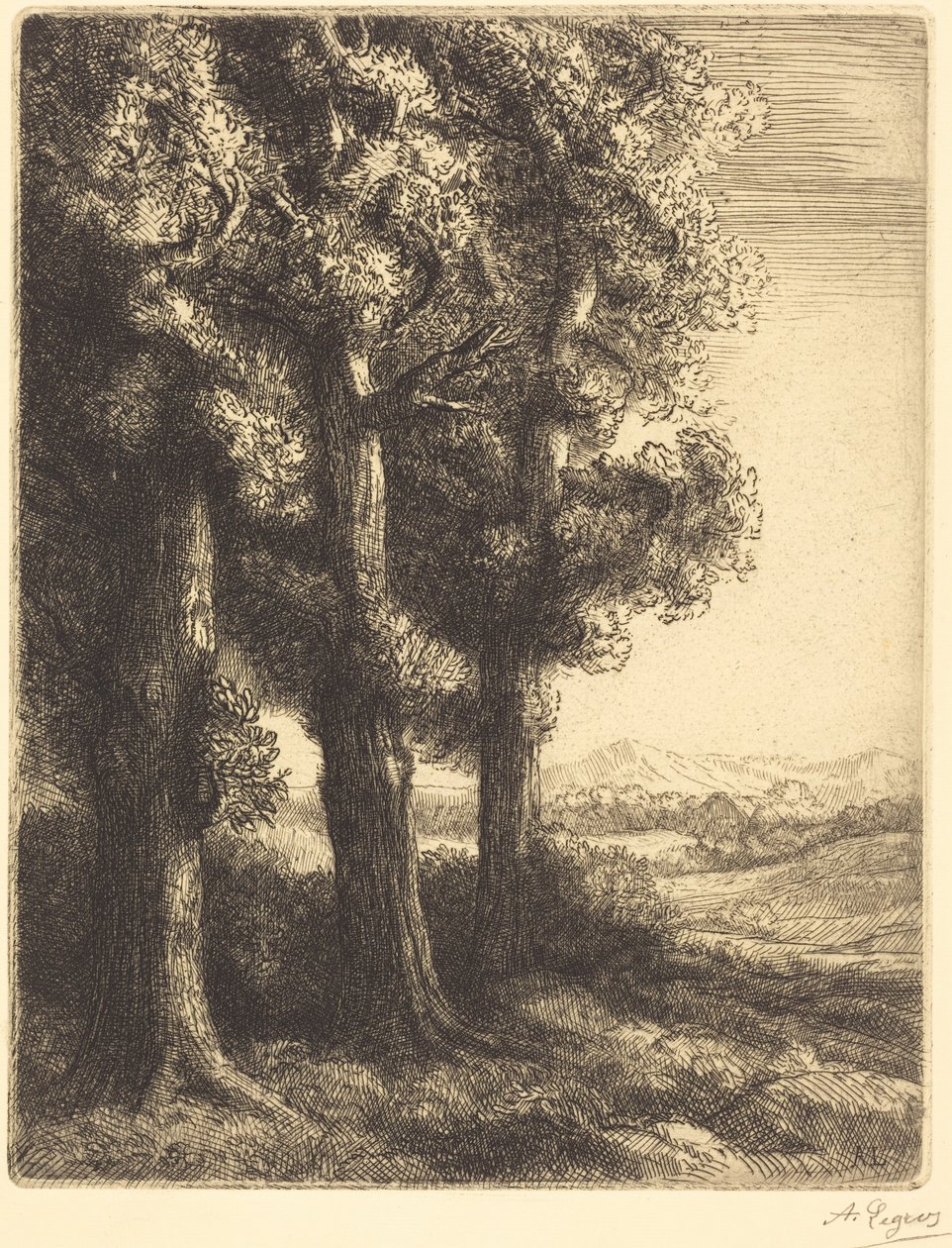 Corner of a Wood (Recanto de um bosque) de Alphonse Legros