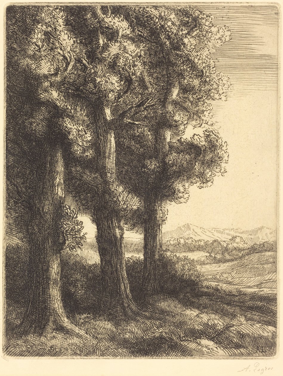 Corner of a Wood (Recanto de um bosque) de Alphonse Legros