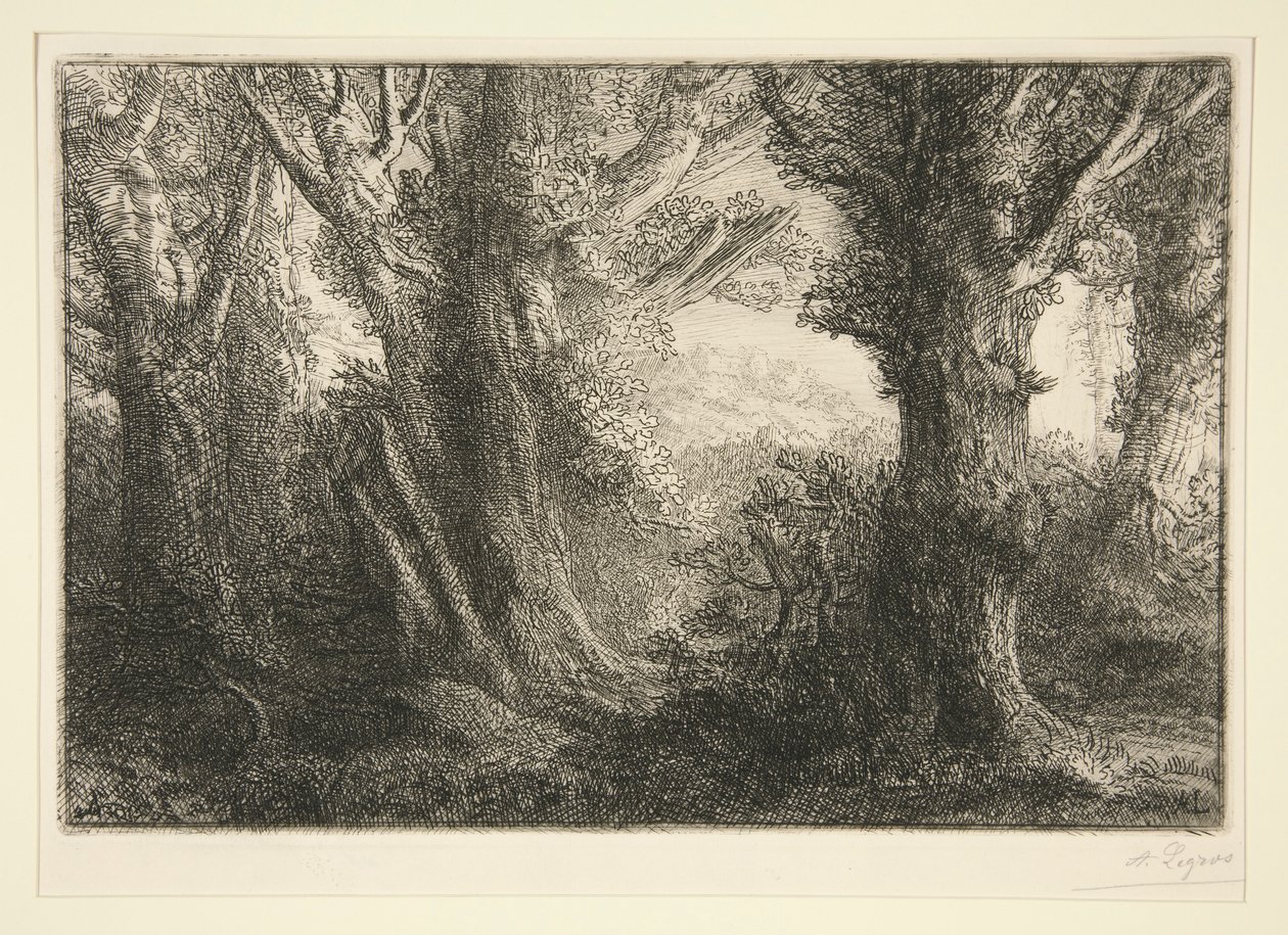 Dans la foret de Conteville (Na Floresta de Conteville) de Alphonse Legros