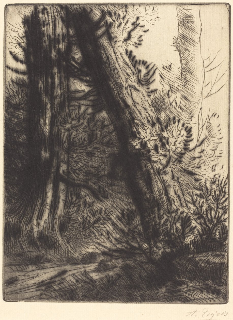 Borda de um riacho (Bord de ruisseau) de Alphonse Legros