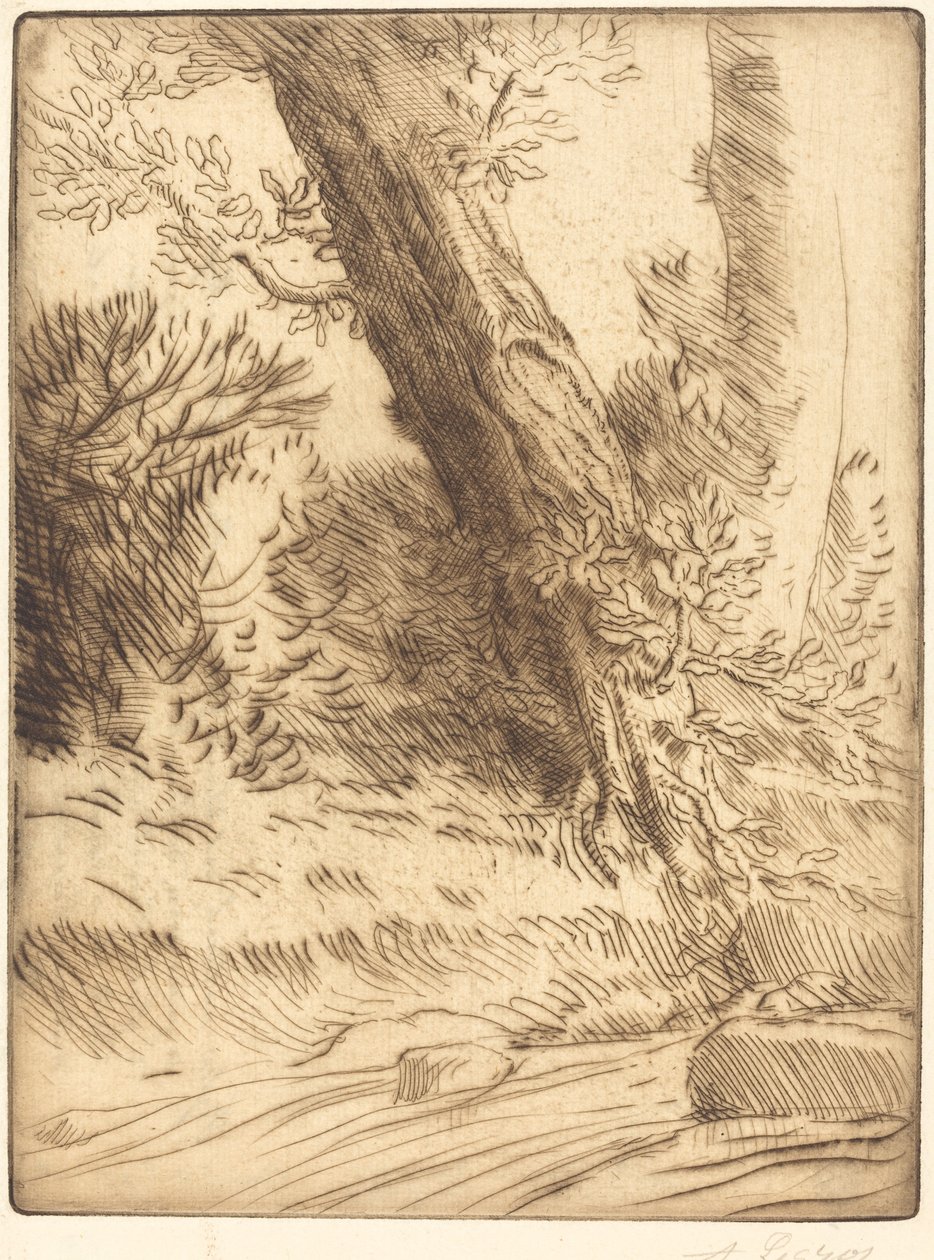 Borda de um riacho (Bord de ruisseau) de Alphonse Legros
