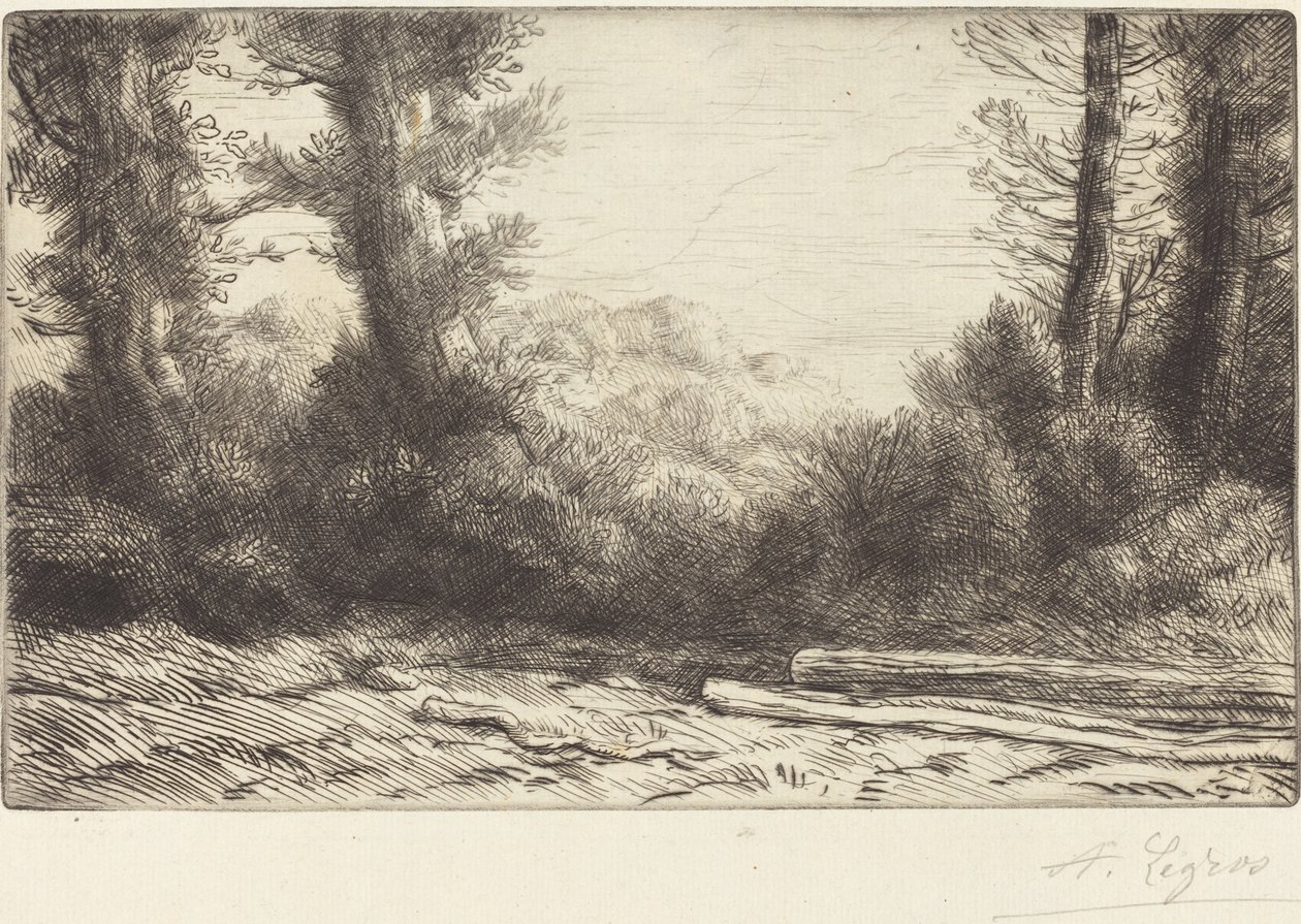 Borda de madeira (Lisiere de bois) de Alphonse Legros