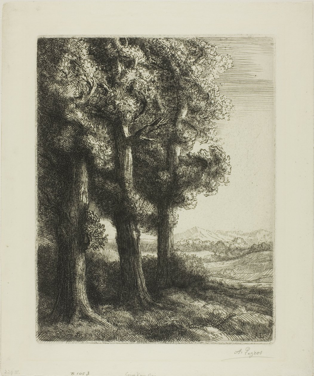 Borda de uma madeira de Alphonse Legros