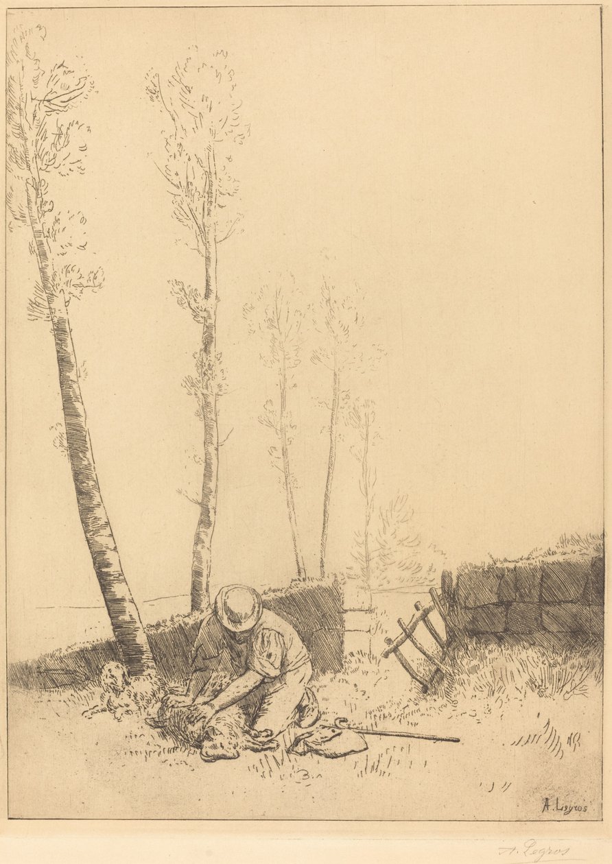 Encontrando a ovelha (Le mouton retrouve) de Alphonse Legros