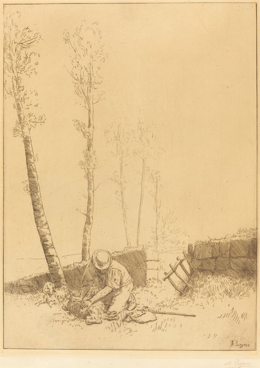 Encontrando a ovelha (Le mouton retrouve) de Alphonse Legros