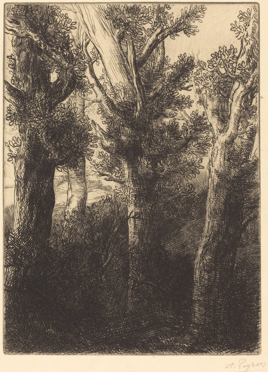 Floresta Alemã, Downley. de Alphonse Legros