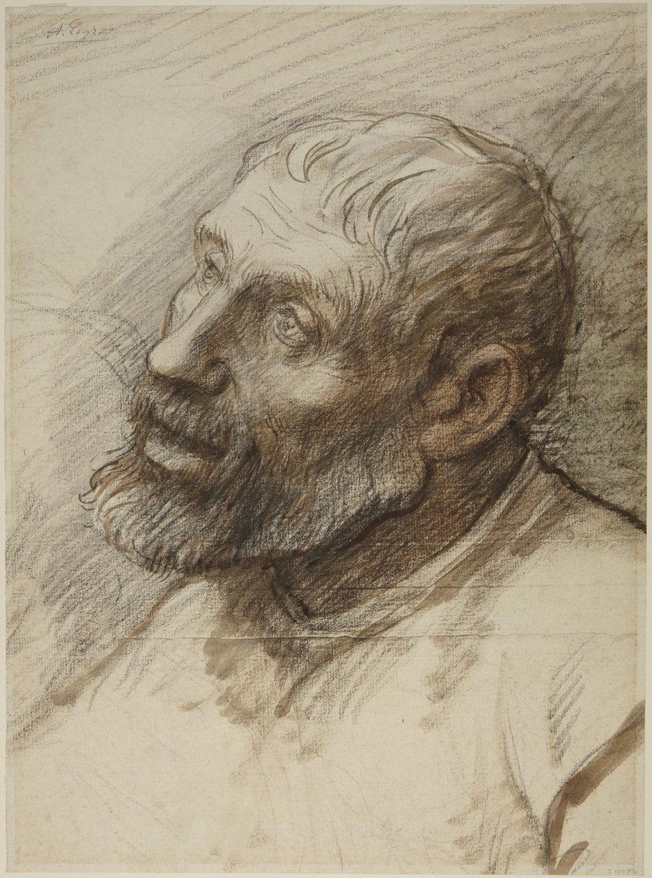 Cabeça de um homem barbudo de Alphonse Legros