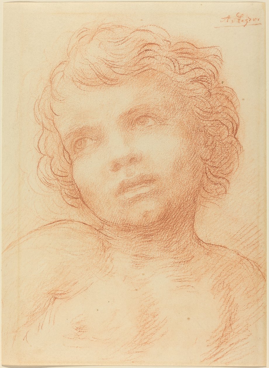 Cabeça de uma criança de Alphonse Legros
