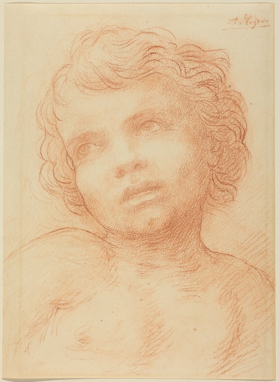Cabeça de uma criança de Alphonse Legros