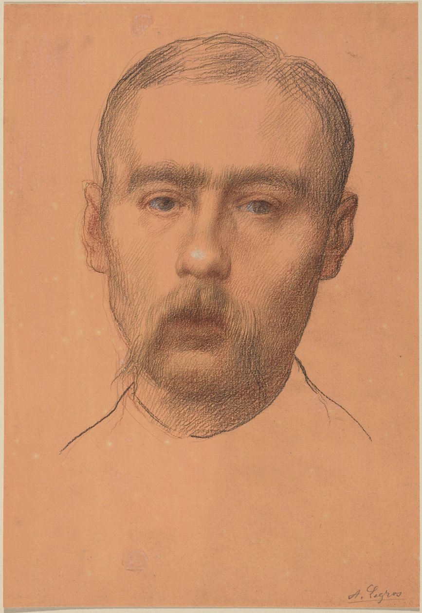Cabeça de um Homem  (Possível Retrato do Professor E.D. Adams) de Alphonse Legros