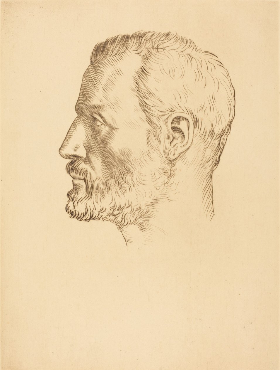 Head of a Man (Cabeça de homem) de Alphonse Legros