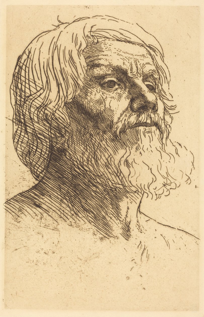 Cabeça de homem de Alphonse Legros