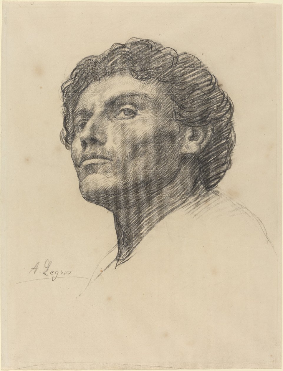 Cabeça de um homem de Alphonse Legros
