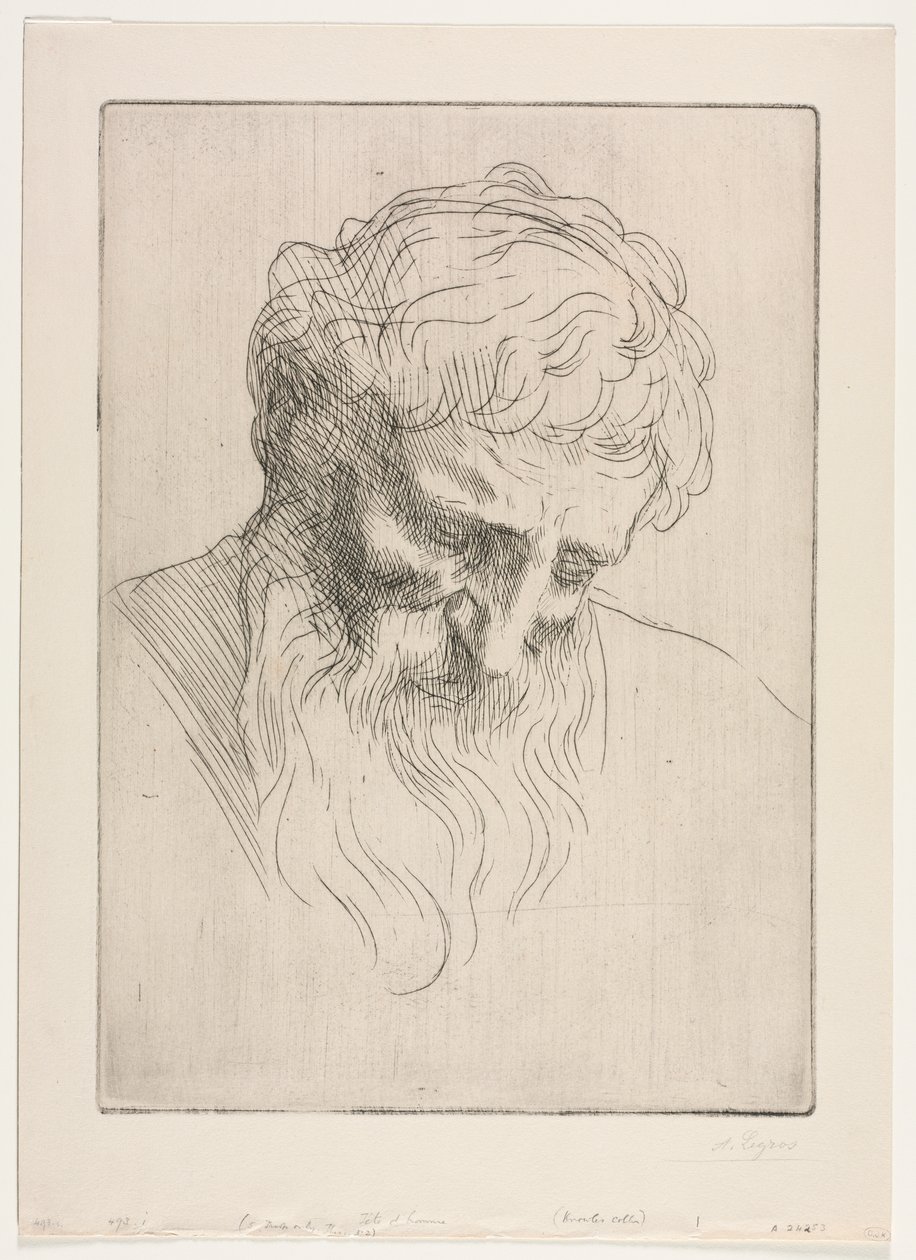 Cabeça de um homem de Alphonse Legros
