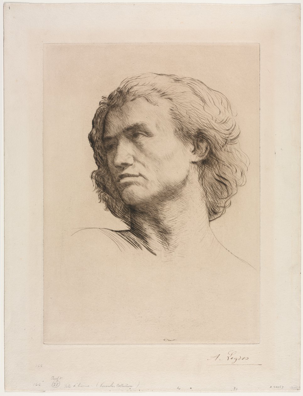 Cabeça de um homem de Alphonse Legros