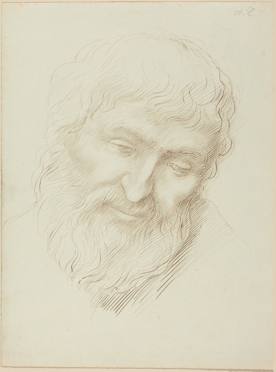 Cabeça de um homem de Alphonse Legros