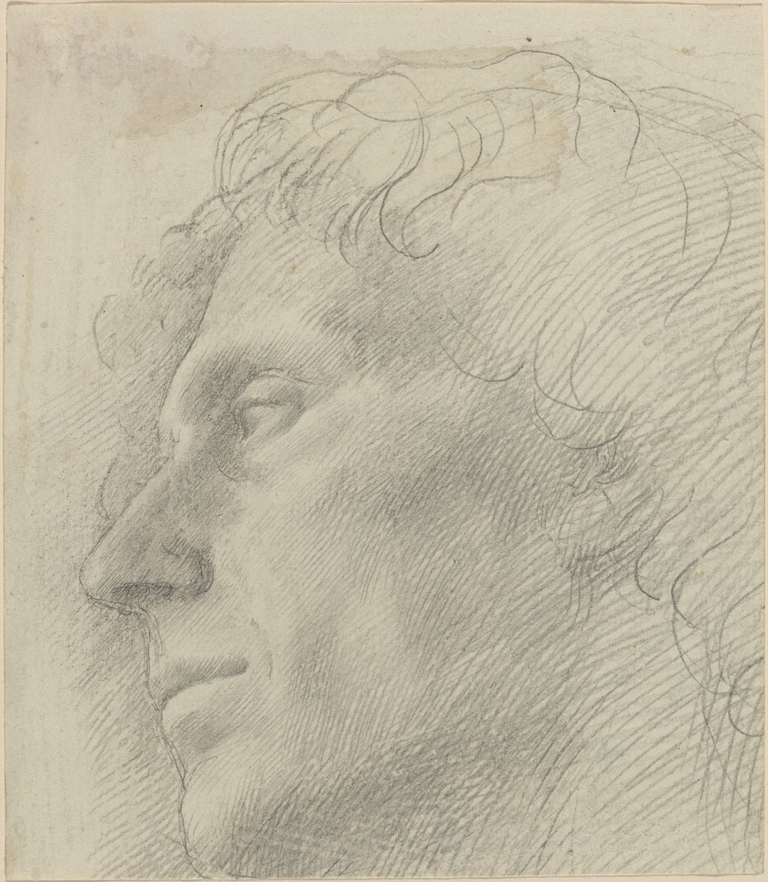 Cabeça de um homem virado para a esquerda de Alphonse Legros