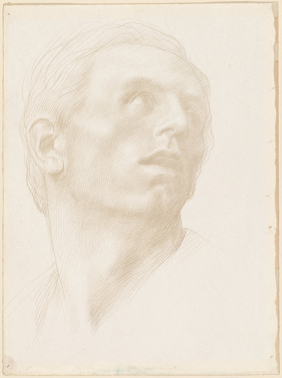 Cabeça de um homem olhando para a direita de Alphonse Legros