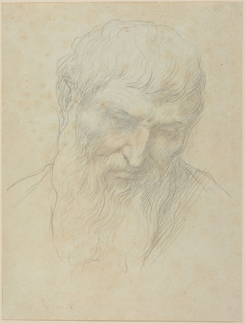 Cabeça de um homem com cabelo encaracolado e barba de Alphonse Legros