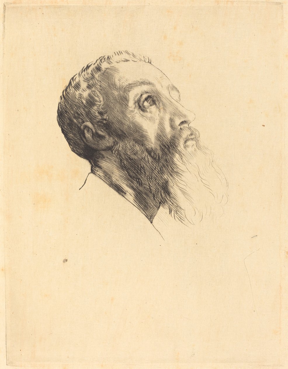 Cabeça de um modelo Cabeça de um modelo. de Alphonse Legros