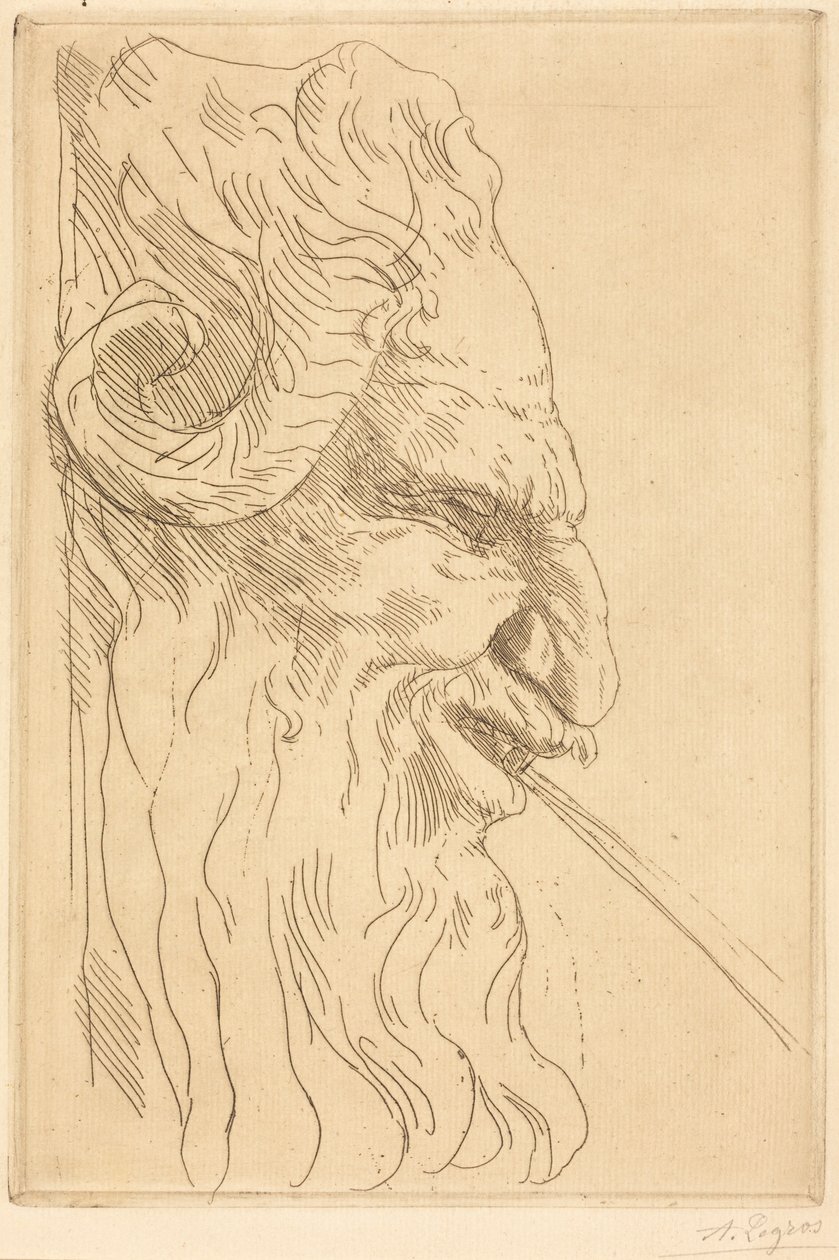 Cabeça de um sátiro de Alphonse Legros
