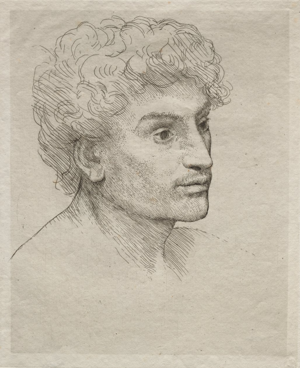 Cabeça de um jovem de Alphonse Legros