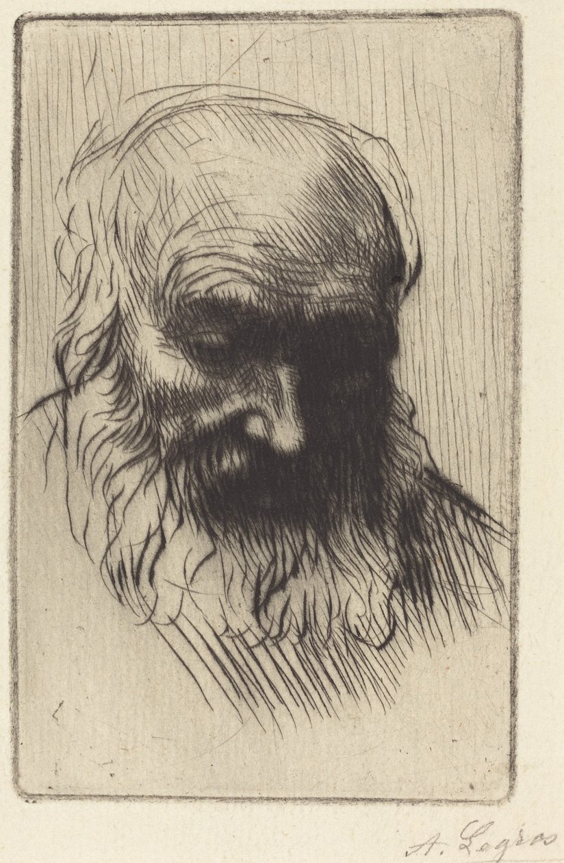 Cabeça de um Homem Idoso (Etude de tête) de Alphonse Legros