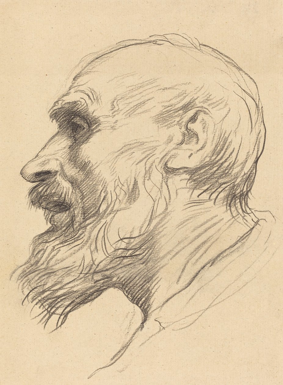 Cabeça de um velho de Alphonse Legros