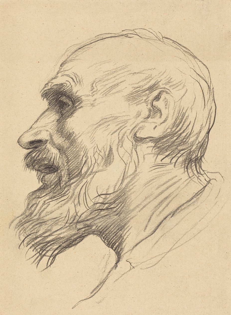 Cabeça de um homem idoso de Alphonse Legros