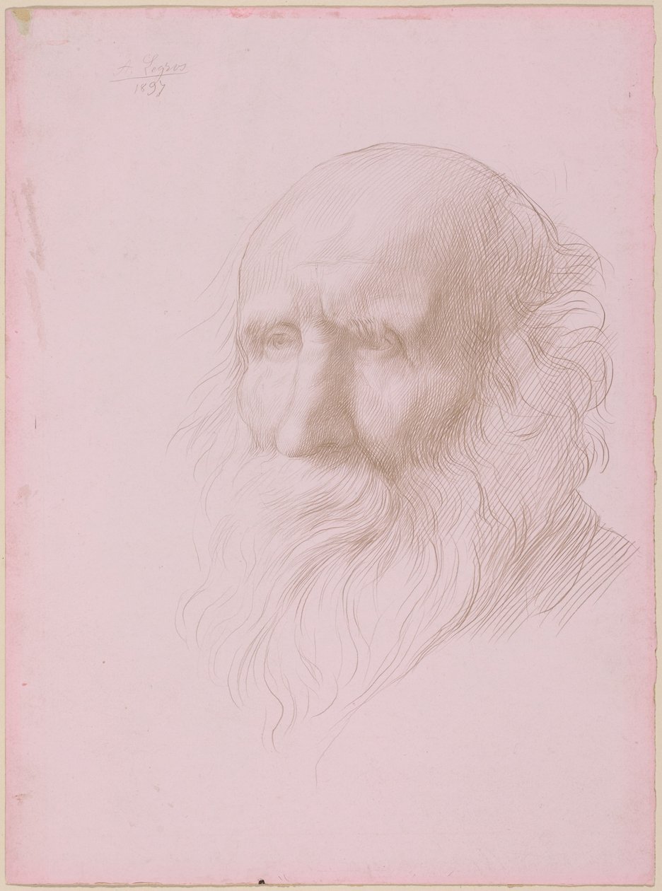 Cabeça de um velho de Alphonse Legros