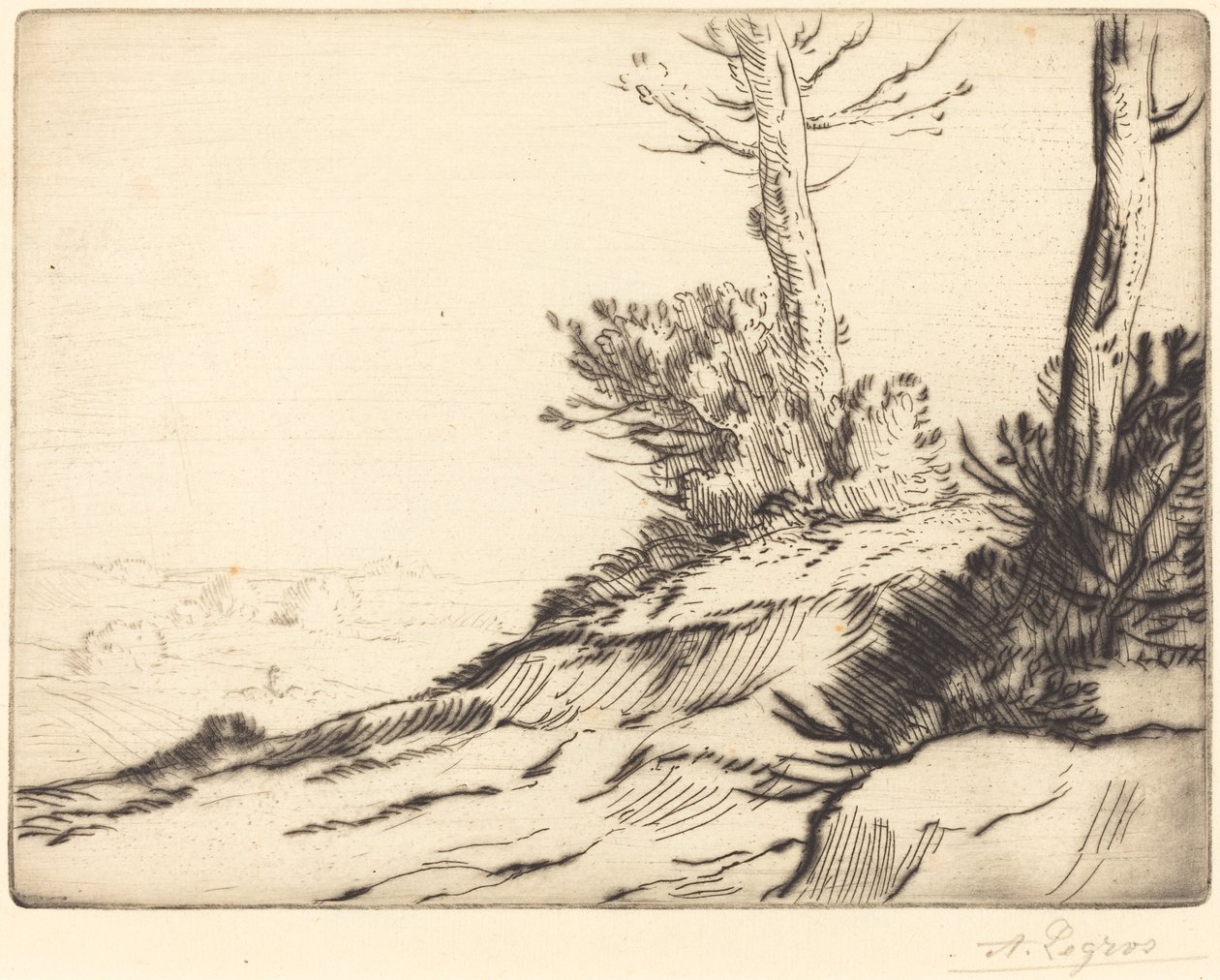 Colina com Arbustos (La butte aux broussailles) de Alphonse Legros