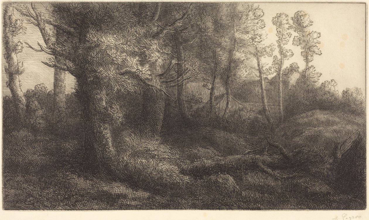 Na Floresta (Lisière de forêt) de Alphonse Legros