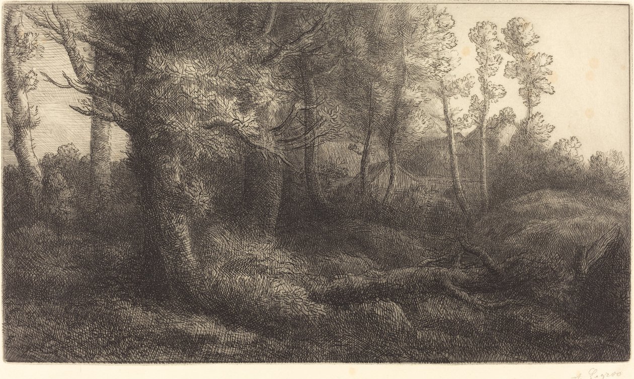 Na Floresta Lisiere de foret. de Alphonse Legros