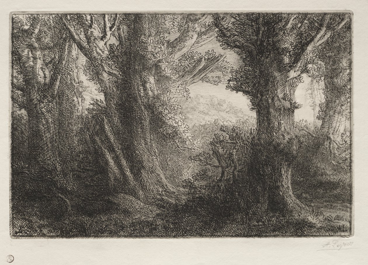 Na floresta em Conteville de Alphonse Legros