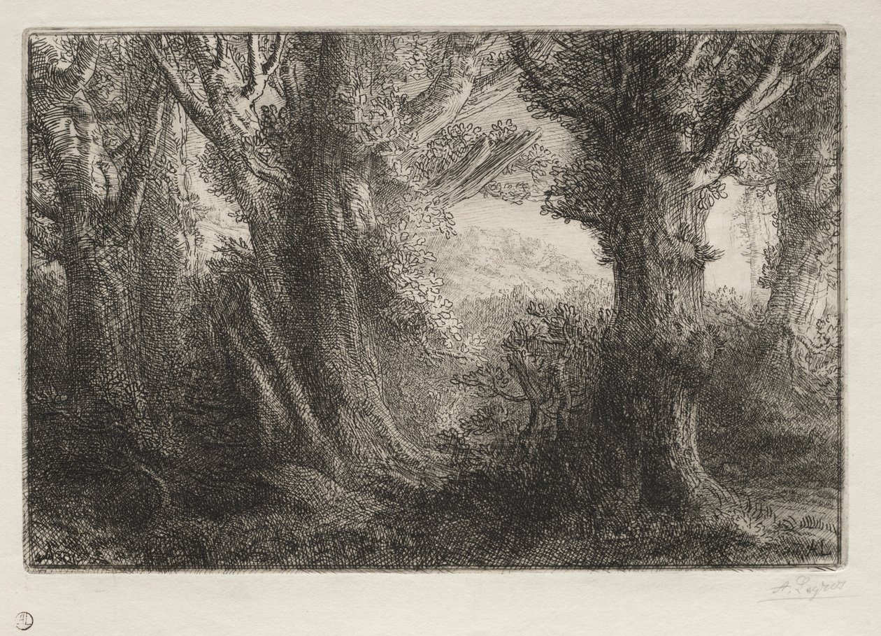 Na floresta em Conteville. de Alphonse Legros
