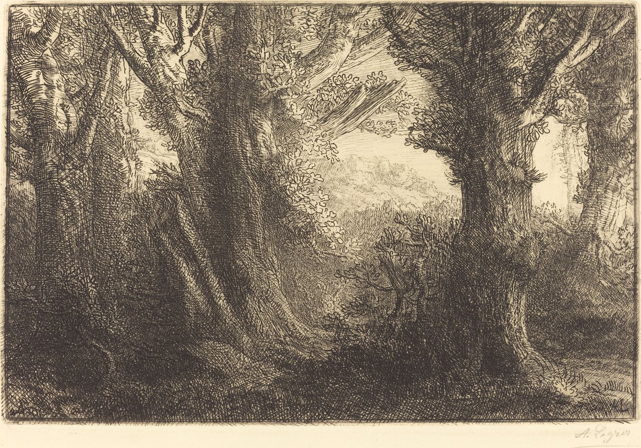 Na Floresta de Conteville Dans la foret de Conteville. de Alphonse Legros