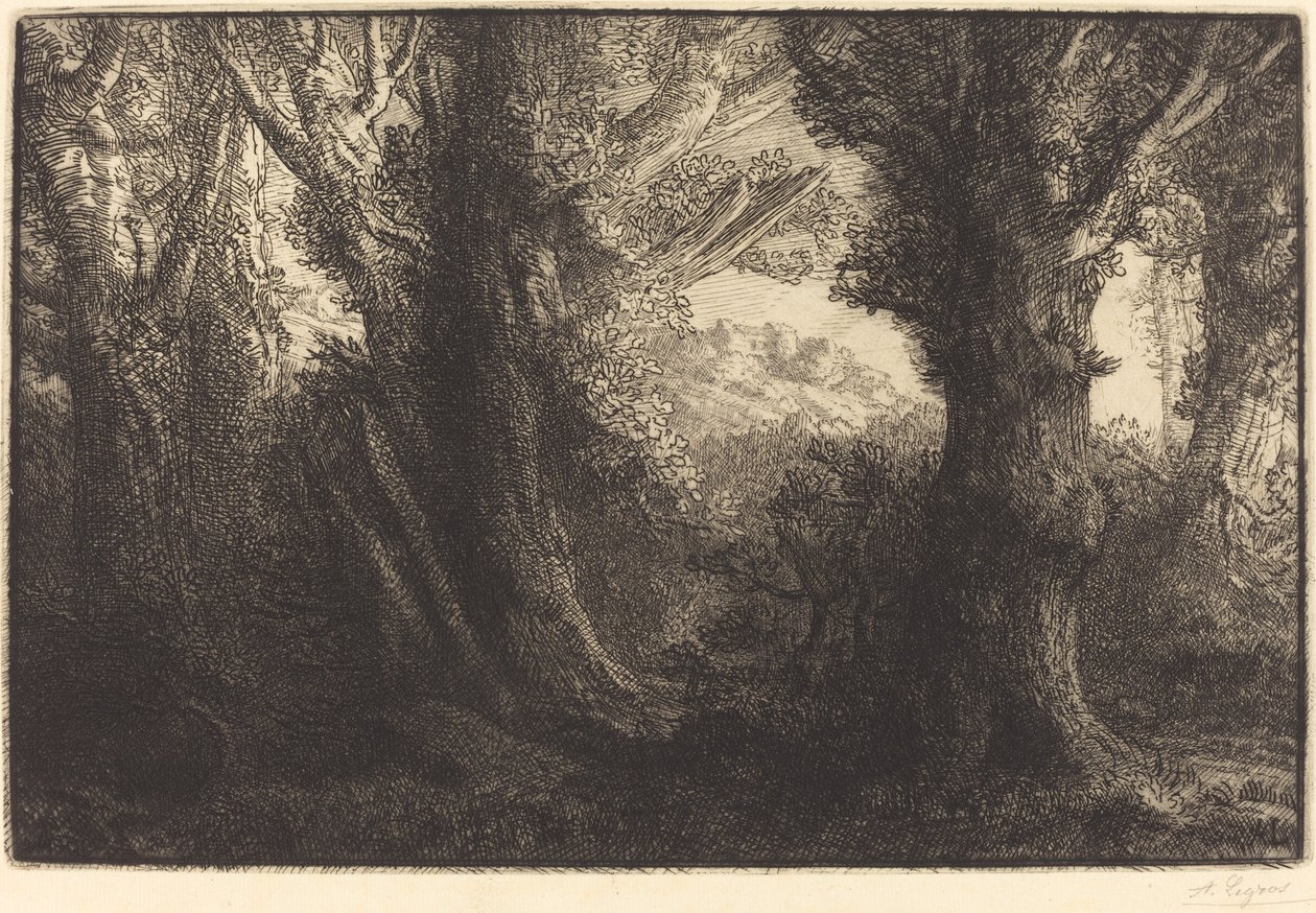 Na floresta de Conteville Dans la foret de Conteville. de Alphonse Legros