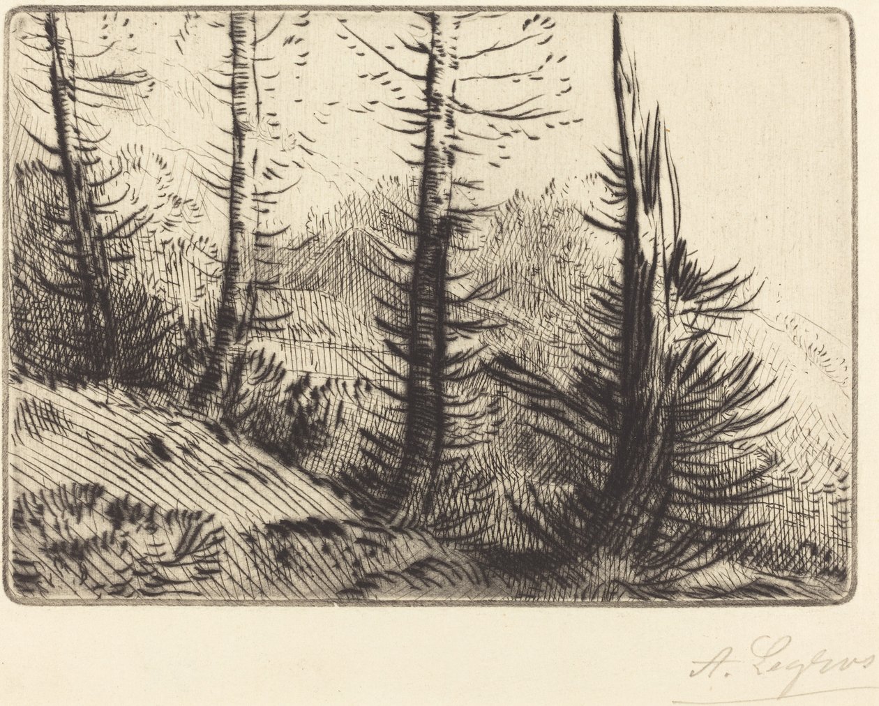 Nos Pirineus (Dans les Pyrenees) de Alphonse Legros