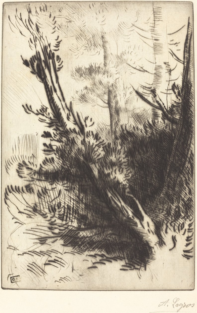 Na floresta de Alphonse Legros