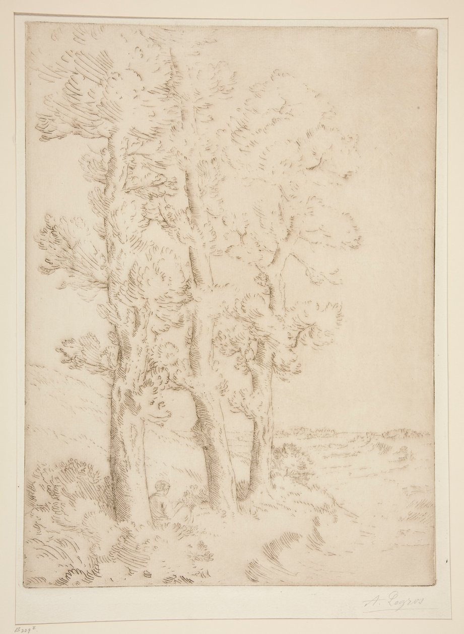 La liseuse: La lecture sous les arbres (Leitura da Mulher: Lição sob as Árvores) de Alphonse Legros