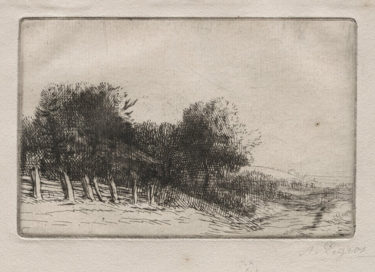 Paisagem de Alphonse Legros